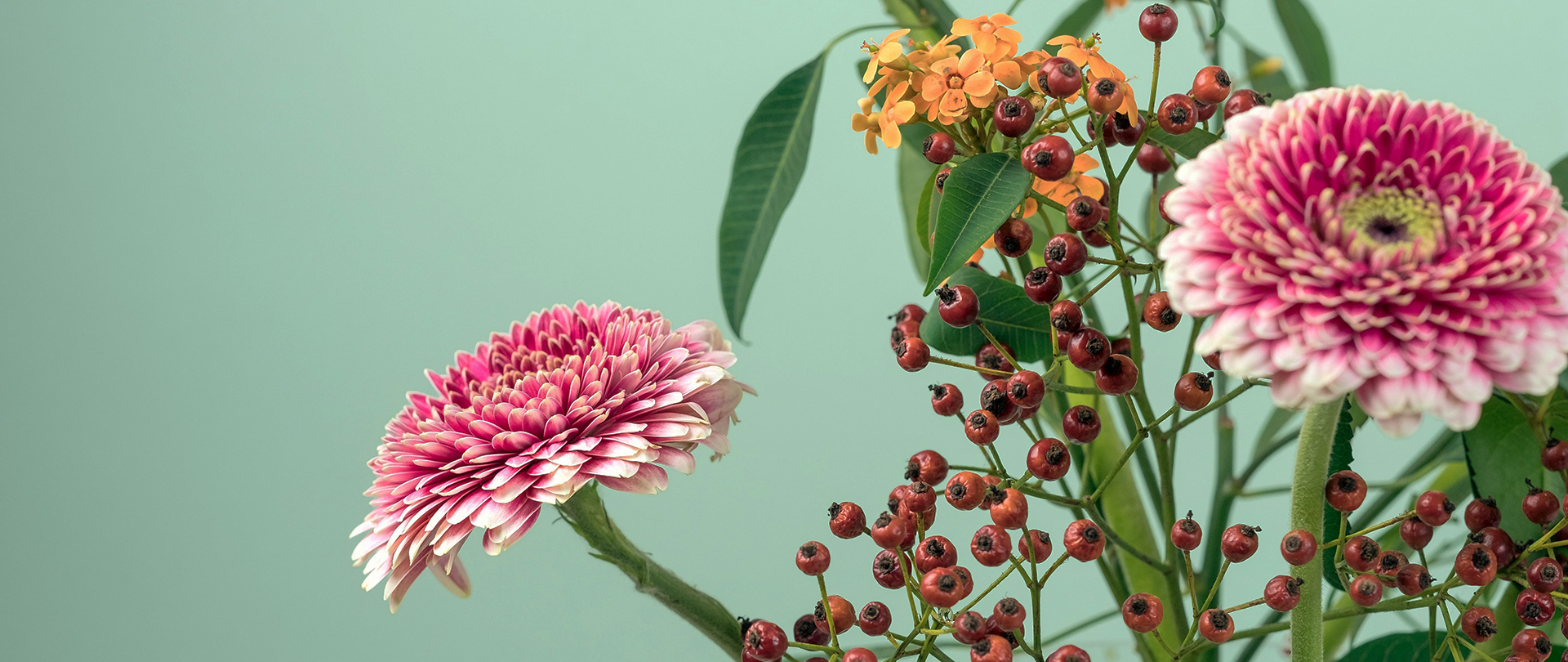 /media/oi5ghsja/tuincentrum-de-bonte-bloemen-bezorgen-slider-01.jpg